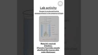 learn with mehydrilla experimentclass 10shortsytshorts [upl. by Ahsykal]