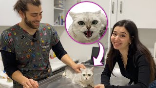 KEDİMLE ABİME GELDİK  Kedim Çıldırdı Bana Saldırdı 😱  w tugayinanoğlu [upl. by Leirbma]