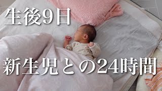 【新生児】赤ちゃんの1日【里帰りなし密着24時間産後ルーティン】 [upl. by Rebak]