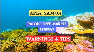 Snorkeling Samoa Apia  Warnings amp Tips  Palolo Deep Marine Reserve [upl. by Yale]