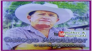 GALEGO ABOIADOR  O MELHOR DA VAQUEJADA [upl. by Nieberg77]