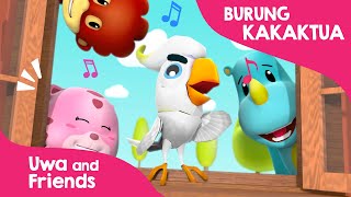 Burung Kakaktua  Burung kakak tua Lagu Anak Indonesia Populer [upl. by Ocirema]