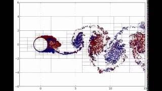 Vorticity Particle Method [upl. by Aerbua]