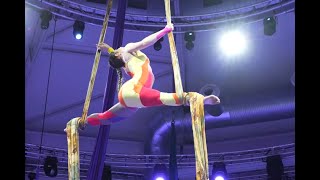 Aerial Silks  Sara Knothe  old circus theme 2024 [upl. by Axela403]