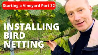 How I INSTALLED Bird Netting in Your Vineyard and Why You Should [upl. by Adnahsar]