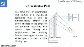 Specific Types of Polymerase Chain Reaction PCR Assays [upl. by Ahseram]