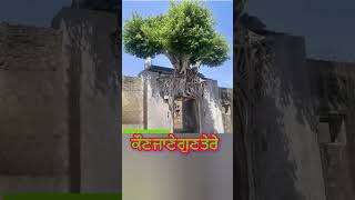 ਕੌਣ ਜਾਣੇ ਗੁਣ ਤੇਰੇbhainirmalsinghjigurugurbaniwmkshortsviraltrendingshortvideokudratyoutube [upl. by Yerffoj72]