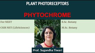 Plant Photoreceptor Phytochrome [upl. by Tedric]