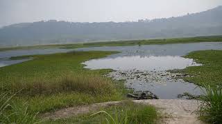 FASCINANTE HISTORIA DE UNA MISTERIOSA LAGUNA DE LA SELVA PERUANA 🐅 PUEBLO YANESHA [upl. by Eessac]