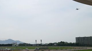 【飛行機にびっくりする風景in函館】〜競馬場での飛行機の影〜（2024年6月23日） [upl. by Hayton903]