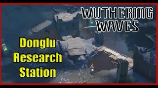 How to Solve West of Donglu Research Station Puzzle Guide  Wuthering Waves [upl. by Ahtennek]