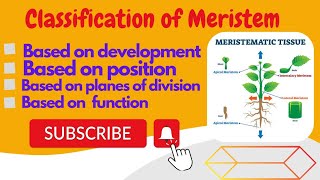 Classification of Meristematic tissue Urdu Hindi by Mushtaq saqib [upl. by Orazio]