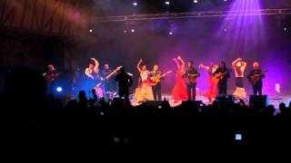 Gipsy Kings Live HQ sound  Israel [upl. by Emlyn]