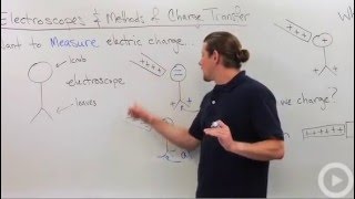 Charge Transfer  Electroscope [upl. by Yttel87]