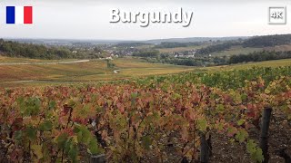 France BURGUNDY 🇫🇷 Mercurey  Vineyards Les Puillets  Bourgogne France [upl. by Ylrak146]