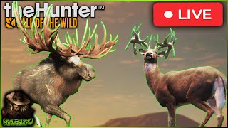 🔴LIVE🔴 LETS TALK ABOUT THE GREAT ONE MOOSE 4 GREAT ONE WHITETAIL ON THE MAP Call of the wild [upl. by Edan]