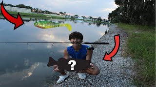 1 BAIT CHALLENGE Bass Fishing [upl. by Candida]