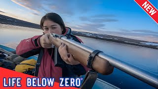 🅷🅾🆃 Life Below Zero 2024 🔥 Winters End  2 🔥 🅱🅴🆂🆃 Hunting Documentaries [upl. by Ajat457]