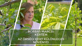 Az őrségi kert különleges növényei  Borbás Marcsi Kertem [upl. by Stephannie184]