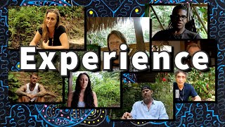 The Ayahuasca Experience [upl. by Shull26]