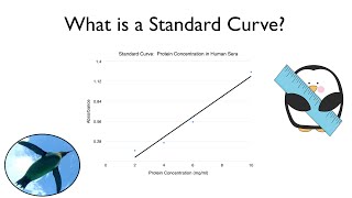 What is a Standard Curve [upl. by Werby]