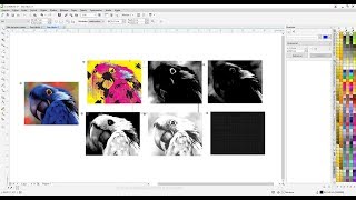 Curso Corel Draw Separação de Cores Quadricomia Serigrafia Tutorial [upl. by Dnalon]