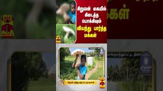 சிறுவன் கையில் கிடைத்த பொக்கிஷம்  வியந்து பார்த்த மக்கள் [upl. by Silsbye]