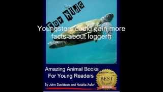 Loggerhead Turtle  Turtles For Kids  Amazing Animal Books For Young Readers [upl. by Yeruoc415]