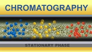 Chromatography Animation IQOGCSIC [upl. by Lyndel]