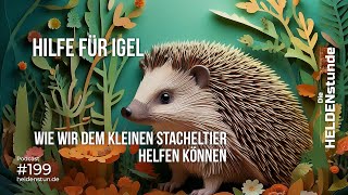 Hilfe für Igel – Wie wir dem kleinen Stacheltier helfen können [upl. by Juan]