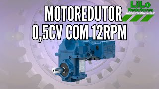 Motoredutor Vertimax Weg Cestari com motor de 05cv e 12rpm NA LiLo Redutores [upl. by Bolan]