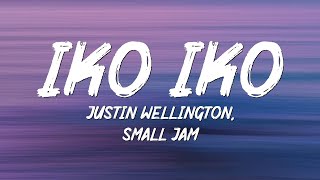 Justin Wellington  Iko Iko Lyrics Tiktok Song  My besty and your besty sit down by the fire [upl. by Ynes]