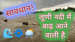 लूनी नदी हुई फिर से तेज़  जसवंत सागर बांध ओट्टे luniriver luninadi jaswantsagar [upl. by Roderick]