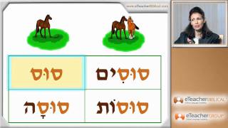 Learn Biblical Hebrew  lesson 6  Nouns and Adjectives  by eTeacherBiblicalcom [upl. by Smiley]