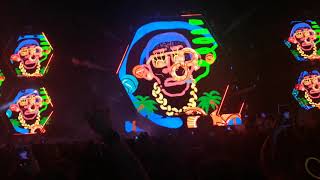 BORGORE LIVE EDC MEXICO 2020 [upl. by Okemak]