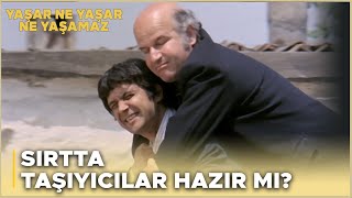 Yaşar Ne Yaşar Ne Yaşamaz Türk Filmi  Yaşar Siyasileri Sırtında Taşıyor [upl. by Ahsinnod140]