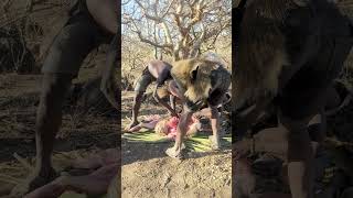 MEN PREPARING BABOON MEAT FOR BREAKFAST 🤤😜shorts [upl. by Sucramat]