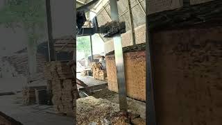 the The production process of wooden slab boards using super quality pine wood materials [upl. by Aliuqahs]