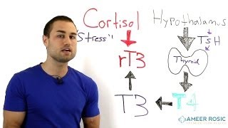 Thyroid problems Stress and Thyroid [upl. by Riccio]