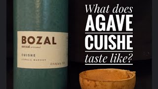 Bozal Mezcal Cuishe  Bottle Showcase and Review [upl. by Kciremed]