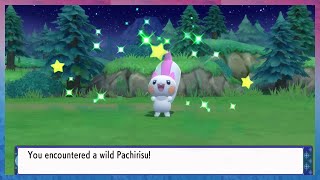 Live Shiny Pachirisu after 1166 REs in Pokémon Brilliant Diamond [upl. by Kinata]