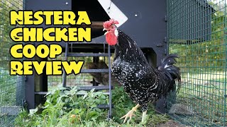 Cleaning and review of the Nestera chicken coop [upl. by Lunn]