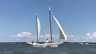 Skipjack sailing the Chesapeake Bay [upl. by Kinson425]