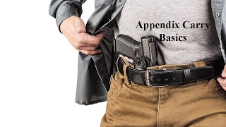 Appendix Carry Basics [upl. by Conrade816]