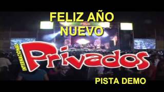 FELIZ AÑO NUEVO  PRIVADOS  KARAOKE PISTA [upl. by Eterg]