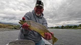 Traditional gear wins over Yellowstones brown trout [upl. by Akired]