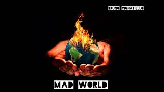 MAD WORLD  TEARS FOR FEARS cover by bruno pignatiello [upl. by Anelah546]