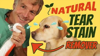 How To Naturally Treat Dog Tear Staining [upl. by Baerman999]