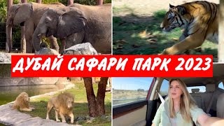 ДУБАЙ САФАРИ ПАРК  ВСЁ ЧТО НУЖНО ЗНАТЬ  SAFARI PARK DUBAI сафарипарк дубай [upl. by Sekoorb]