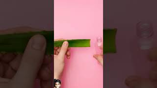 SMART ALOE VERA BEAUTY HACKS  New Girly Hacks And Tips by 123 GO SHORTS shorts 123go doll [upl. by Enilesor488]